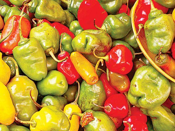 Bolivia Gastronomia