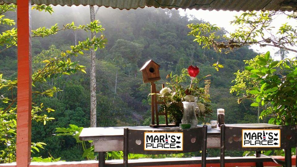 Mariluz Arias Jiménez - Mari's Place