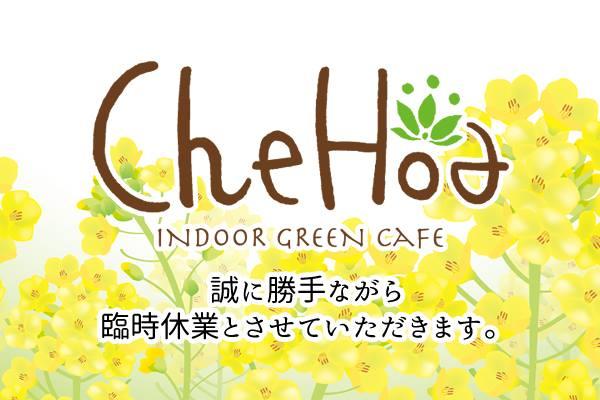 チェ ホア