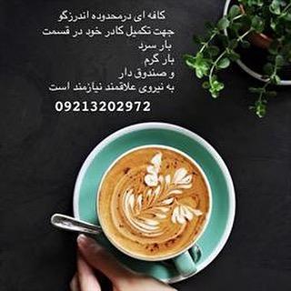 کافه نيد