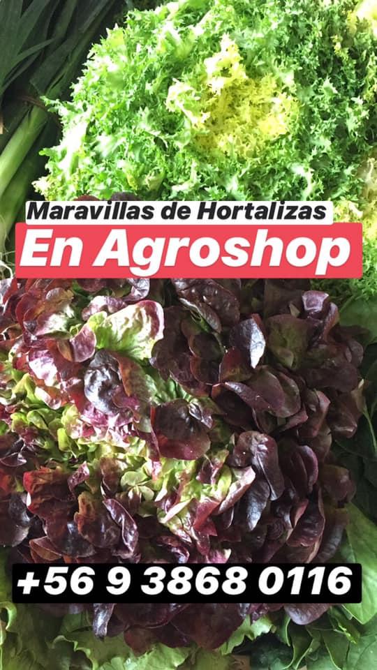 La Ensalatta De San Borja