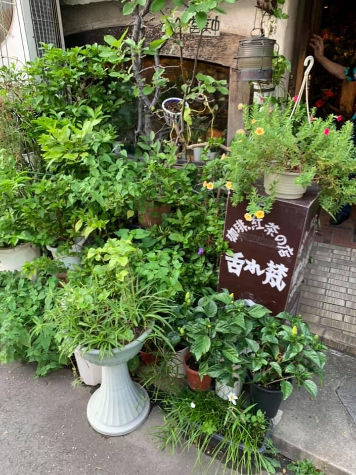 舌れ梵