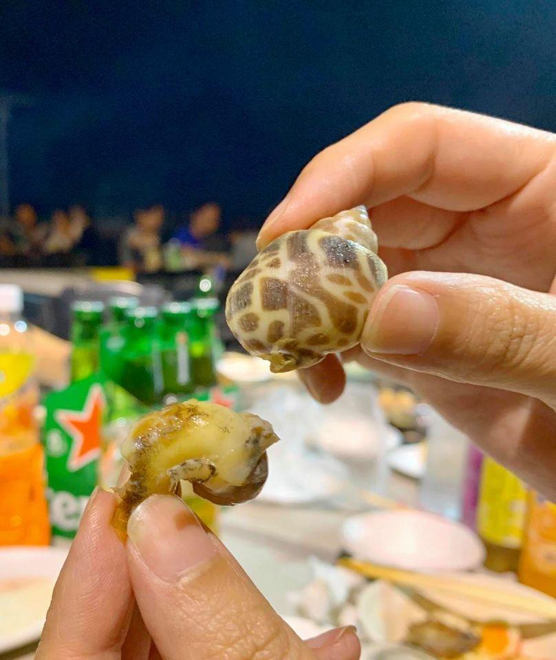 乳牛牧場露天燒烤Bar