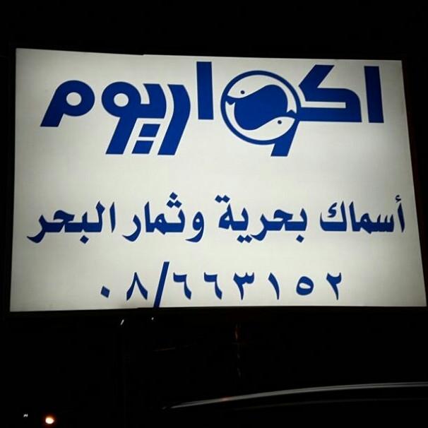 اكواريوم Joub Jannine