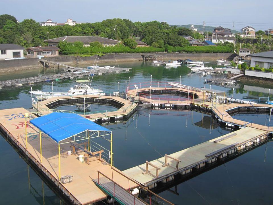 Kaiyuen