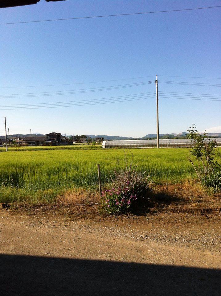 手打ちそば　喜蕎　-kikyo-