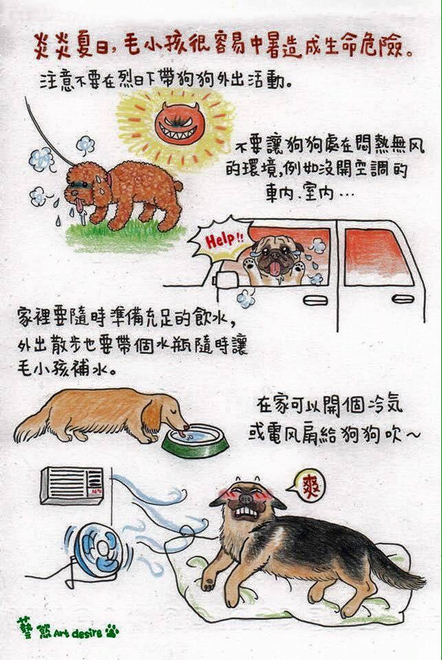 燥子龍