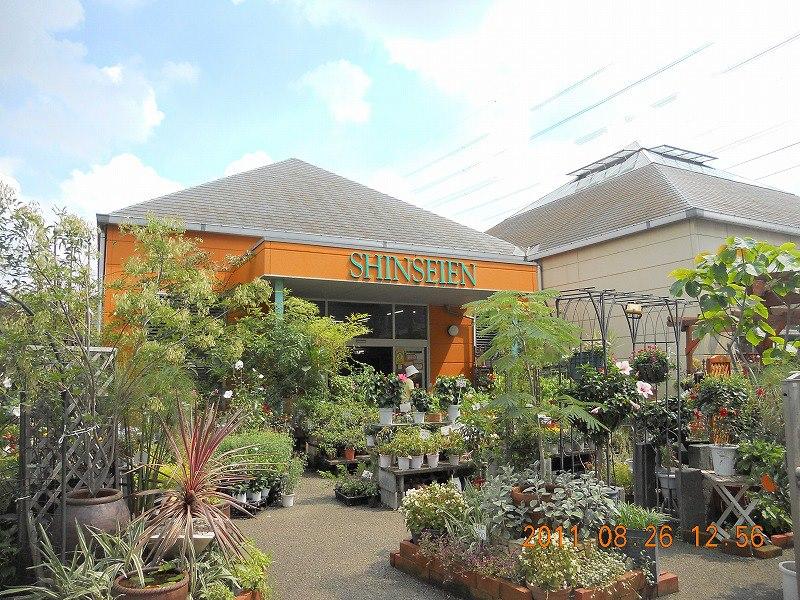 Shinseien