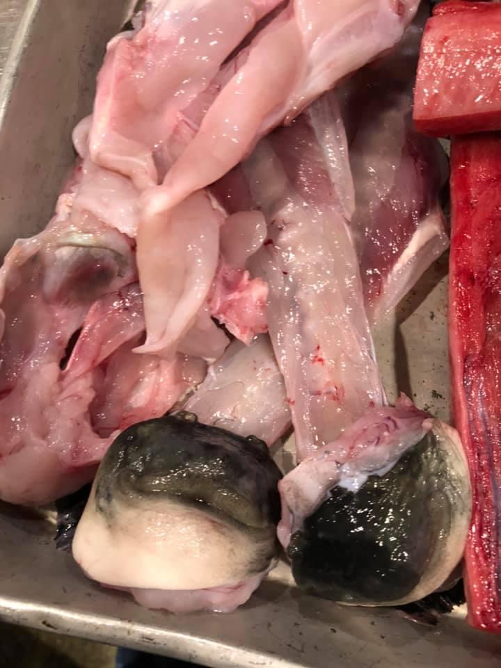力士飯 嵯峨泉