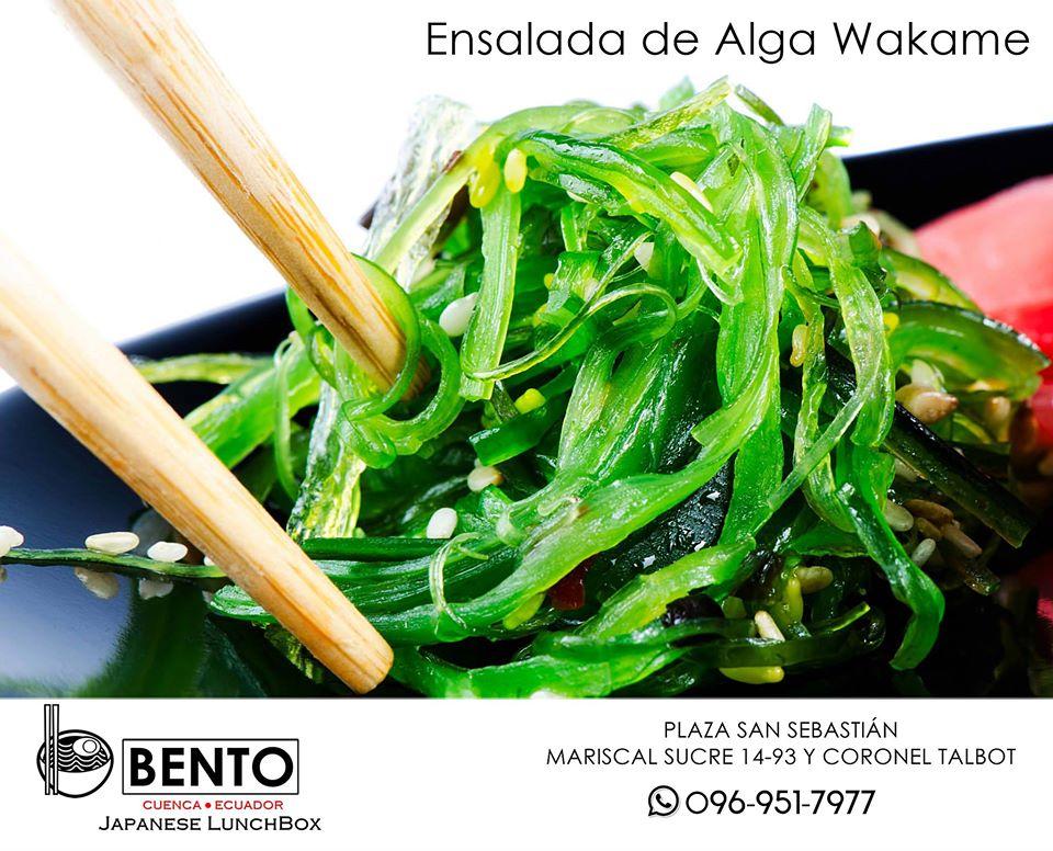 Bento Japanese Lunchbox