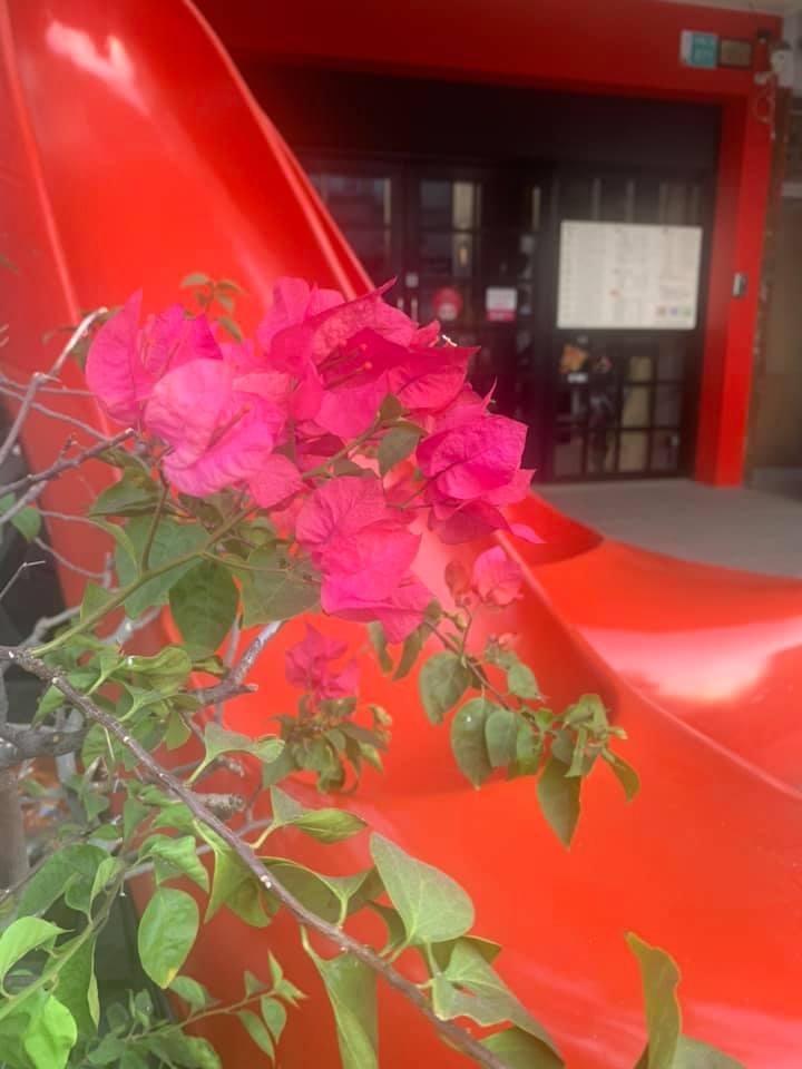 逗点，複合餐飲