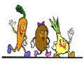 Totally Vegetarian