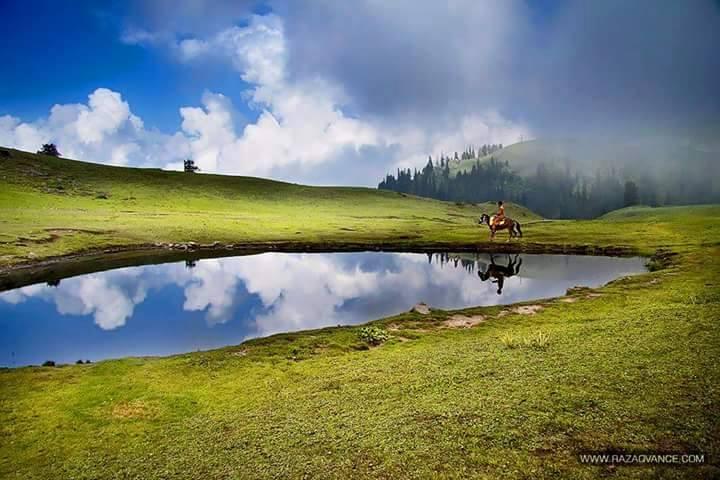 Safari Cottage Naran