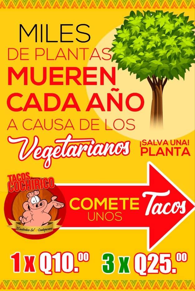 Taqueria Cochirico