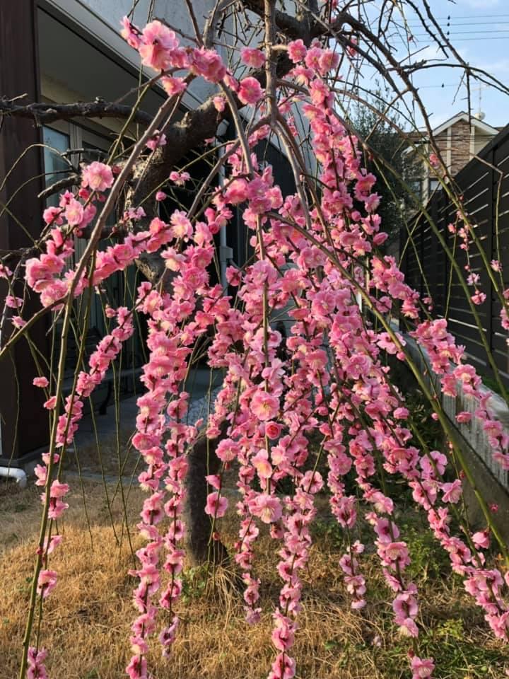 寿し源