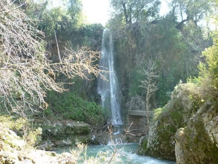 نهر الخوابي - مطعم الشلال