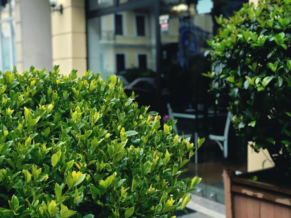 Cafe Batumi