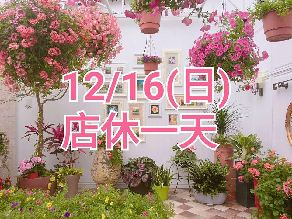 王功好時光