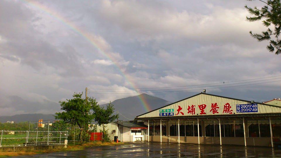 金豪餐廳-原大埔里餐廳