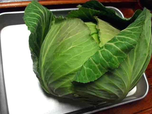 和風料理 つみきばこ