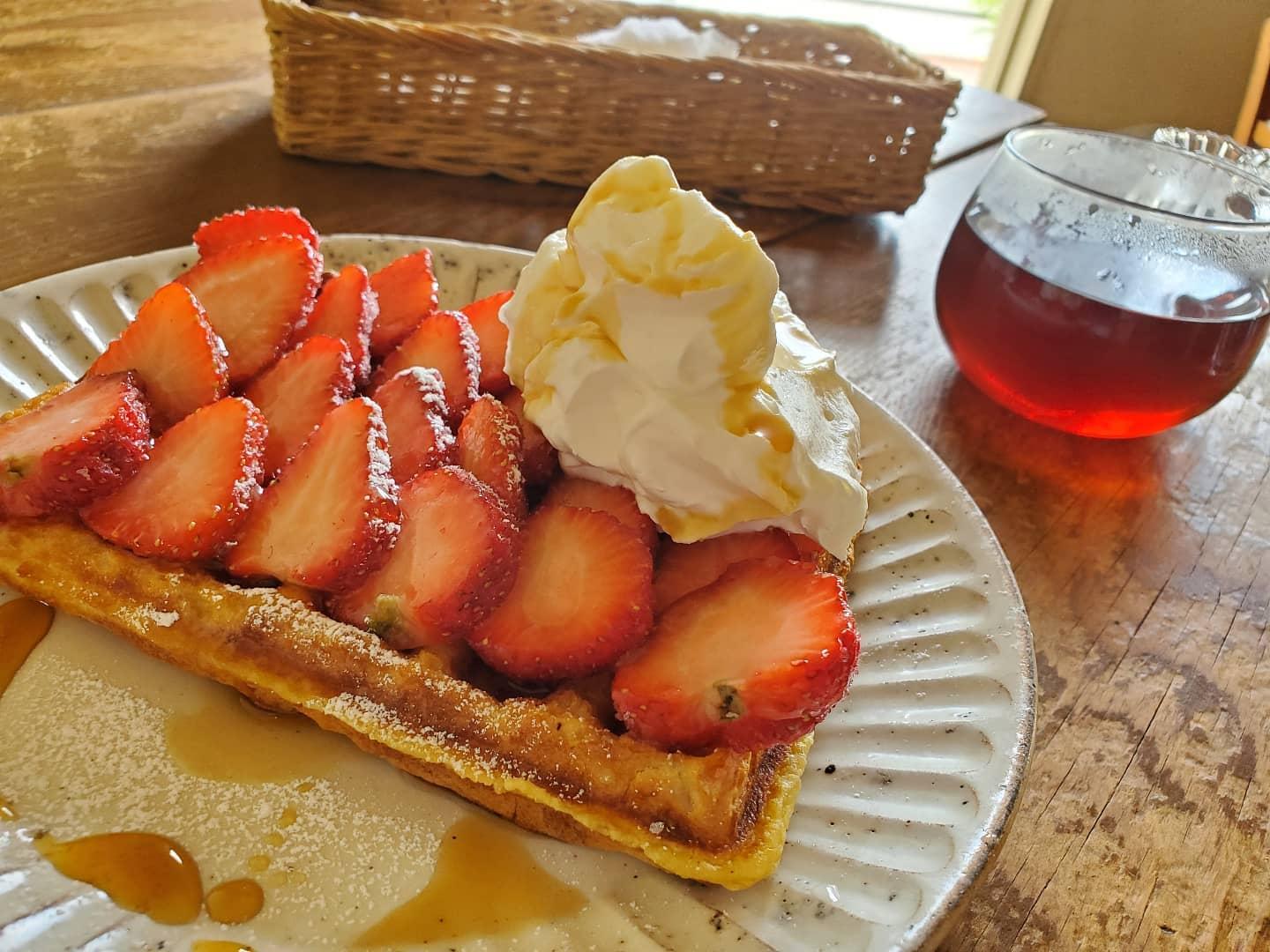 カフェ サンクチュアリ