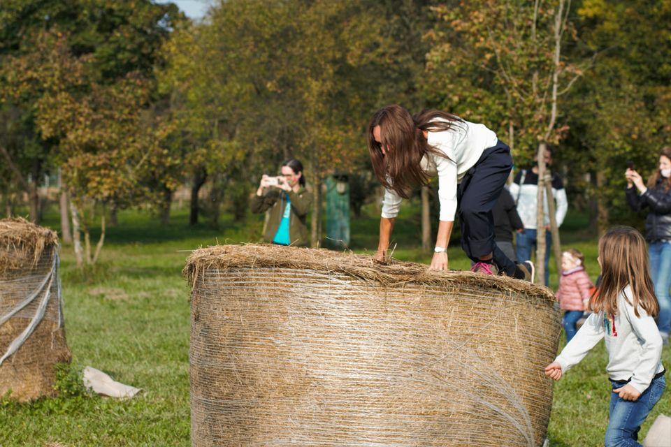 Agriturismo Biologico La Buona Terra