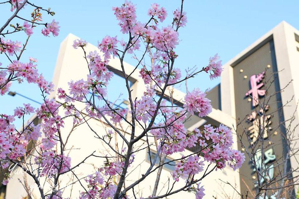卡菲努努親子寵物餐廳