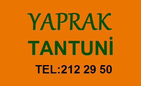 Yaprak Tantuni