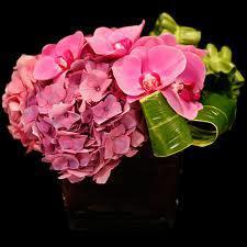 Designs East Florist & Interior