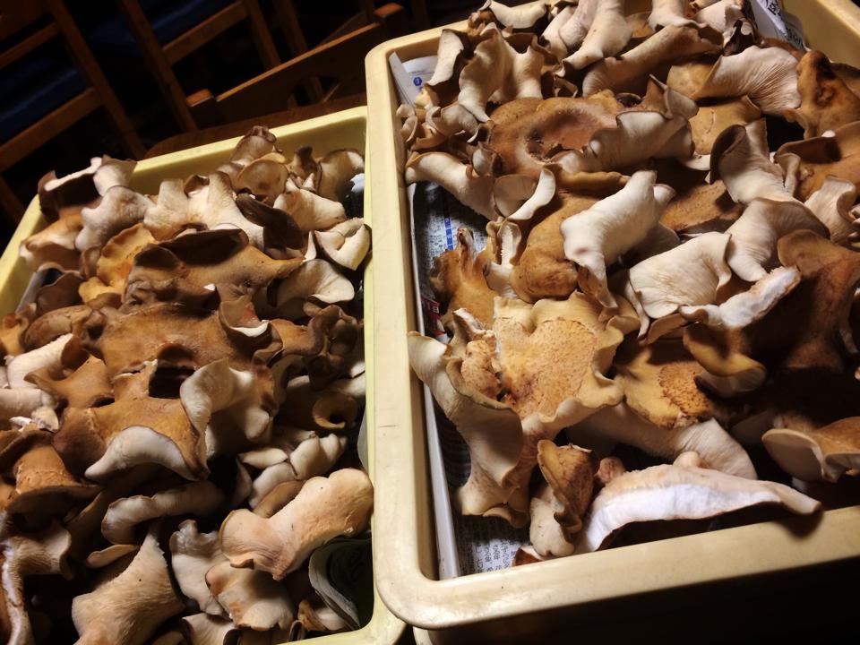お食事処あらい