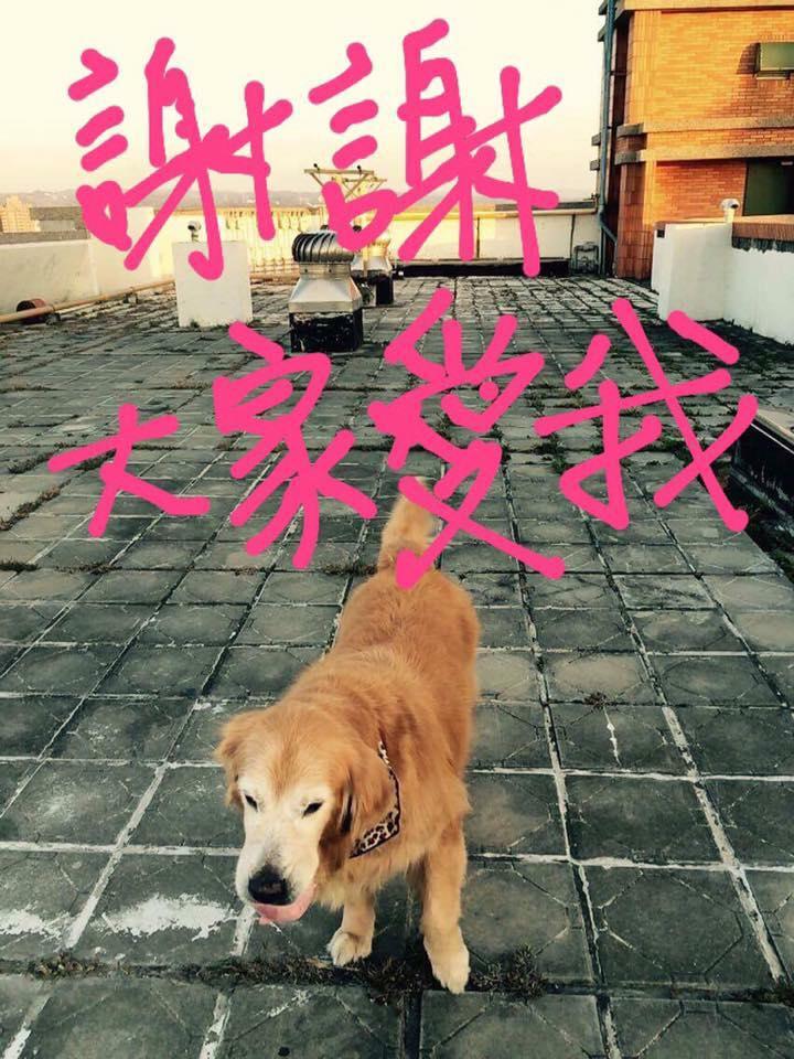 台北花枝肉羹 Taichung