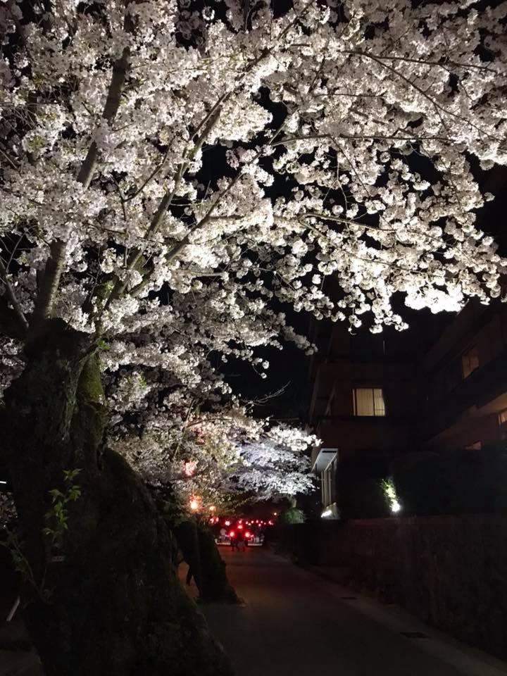 大衆居酒屋馬鹿凡