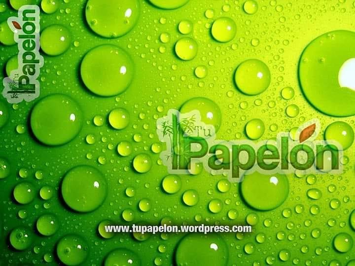 Tu Papelón