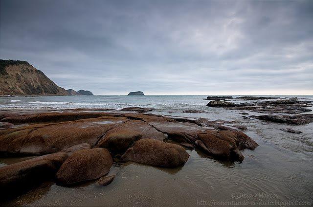 Coma,
