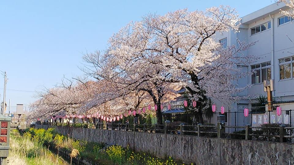 Café COLORADO 市川宮久保店