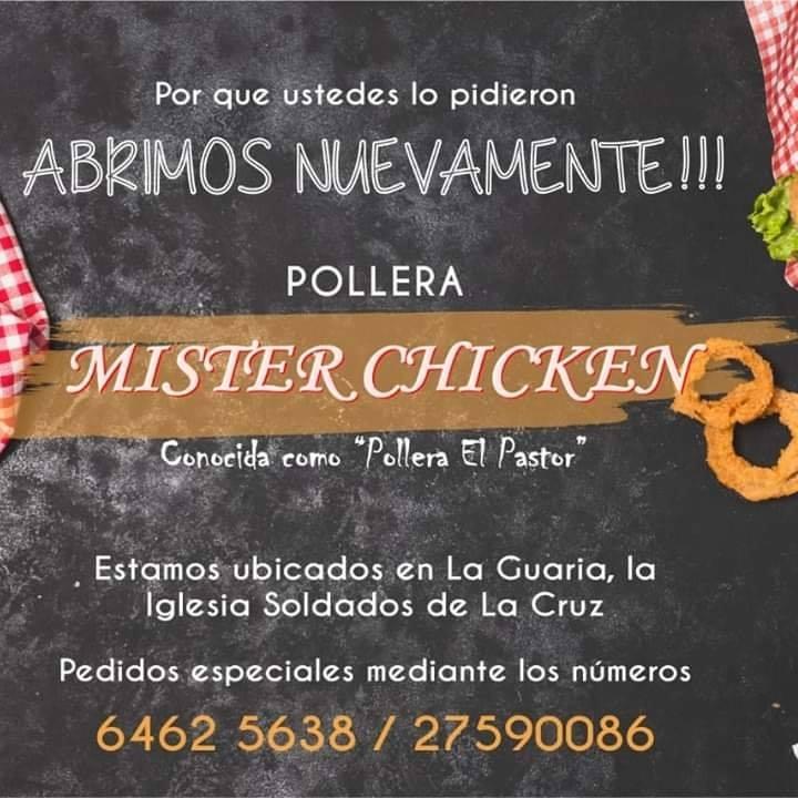 Pollera Mister Chicken