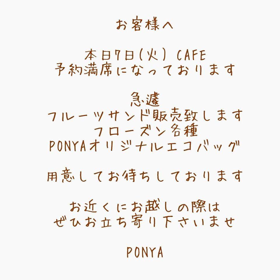 Ponya