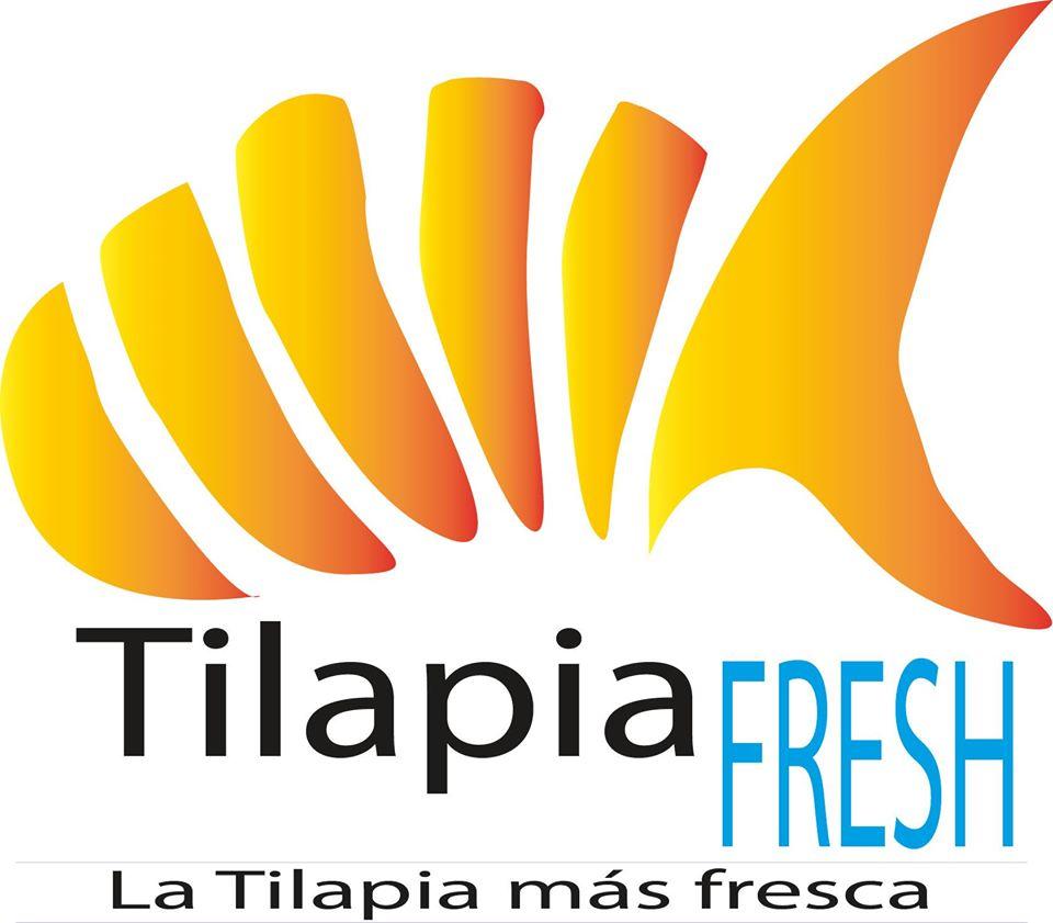 Tilapia Fresh