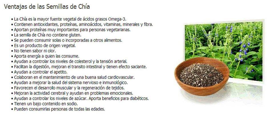 Sabrochia