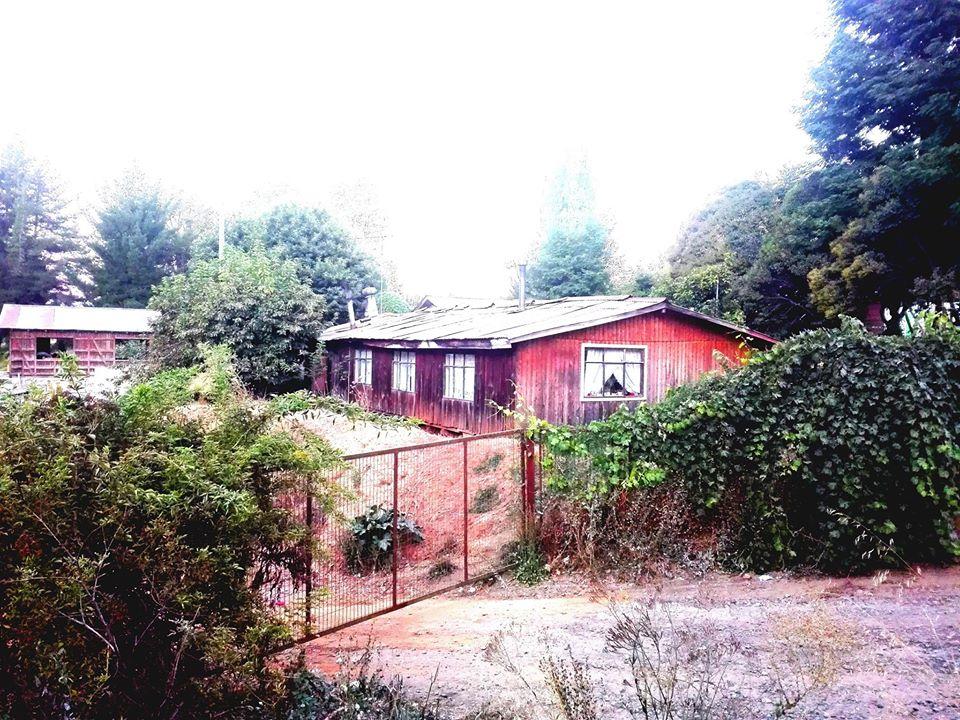 El Bosque, Comida Campesina