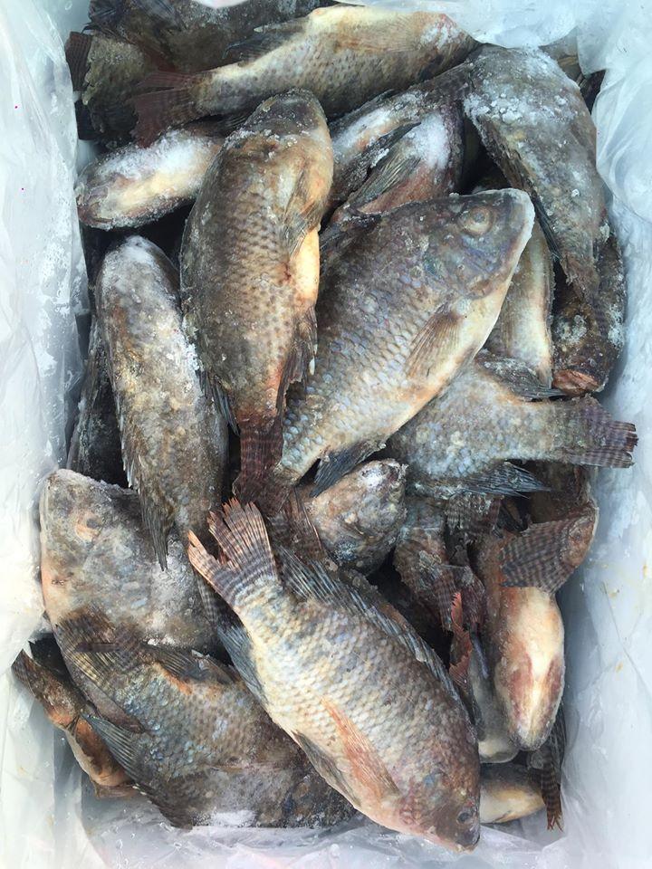 Fish Stop Kisumu
