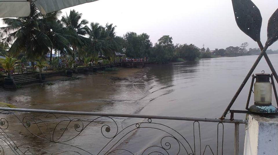 Les Palétuviers Matanda