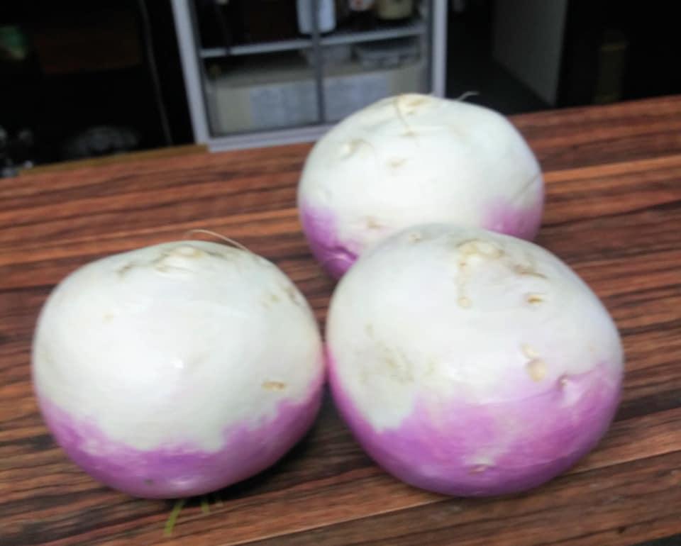 四季の味 はまゆう