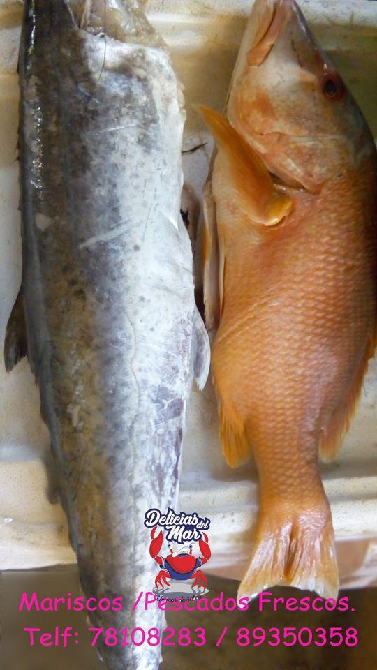 Delicias del Mar