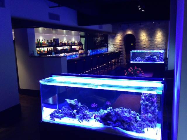 Ｔｈｅ　ＢＡＲ　ＢＲＥＥＺＥ　ＢＬＵＥ