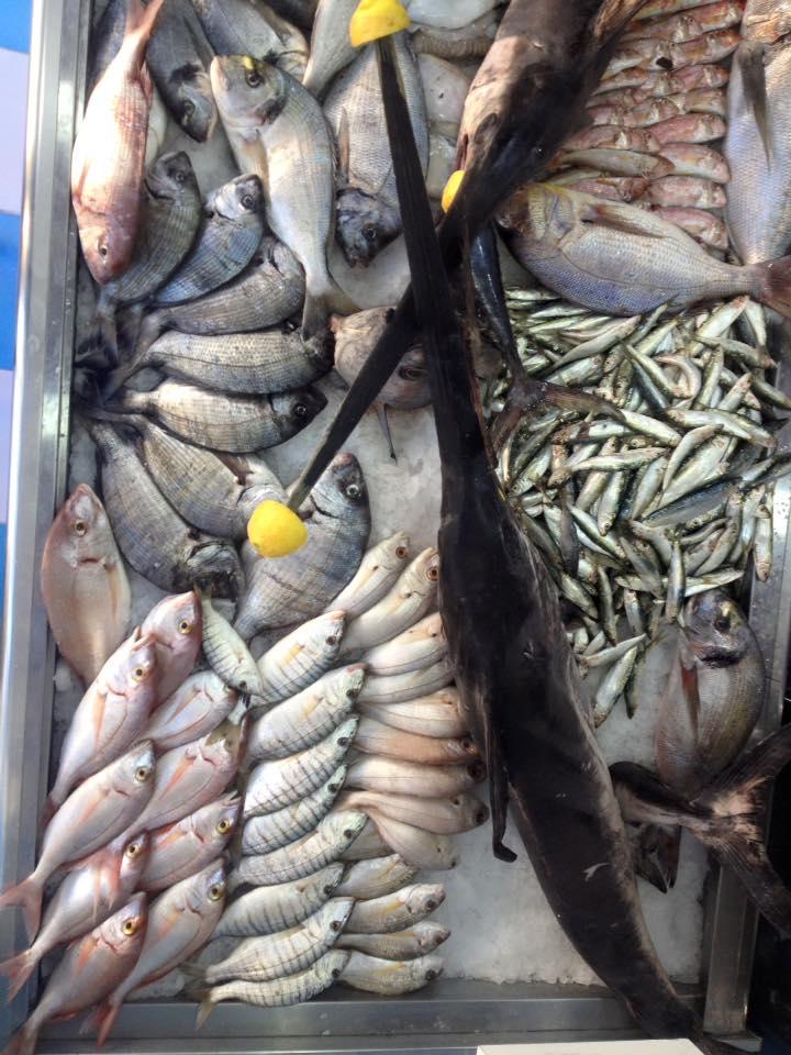 Poissonnerie La Touche BLEUE