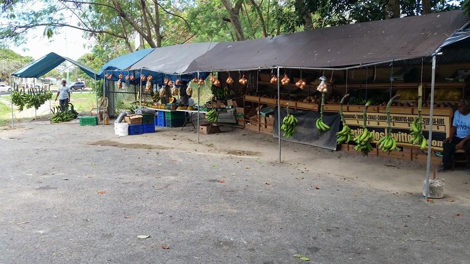 Kiosco El Jibaro Moroveño