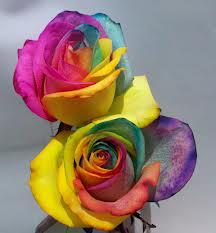 Papaw Mike's Florist