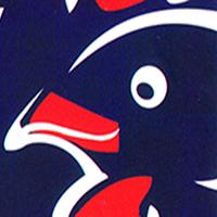 American Favourite Chicken