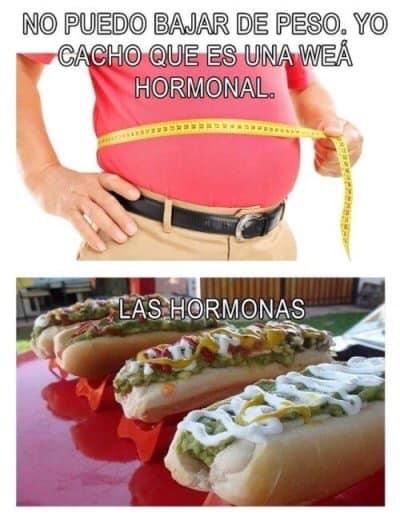 El Bajon del Flaco
